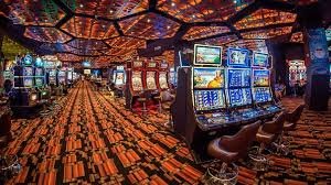 5555bet plataforma