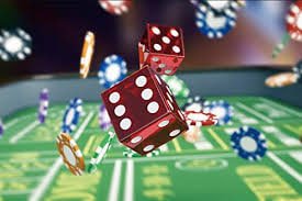 5555bet plataforma
