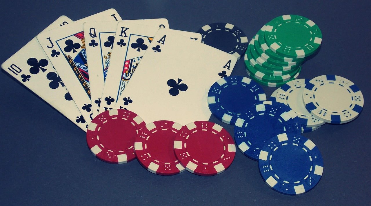 5555bet plataforma